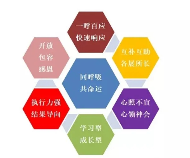 Z6·尊龙凯时「中国区」官方网站